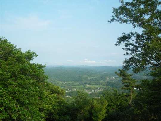 View photos from the local