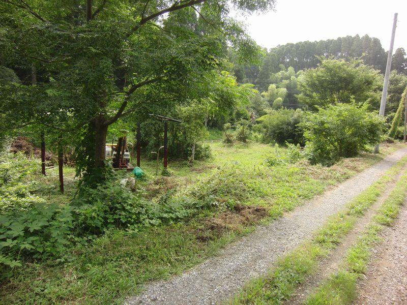 Local photos, including front road. Local Photo 1