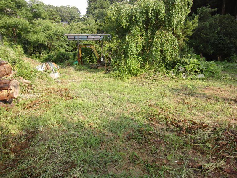 Local land photo. Local Photo 2