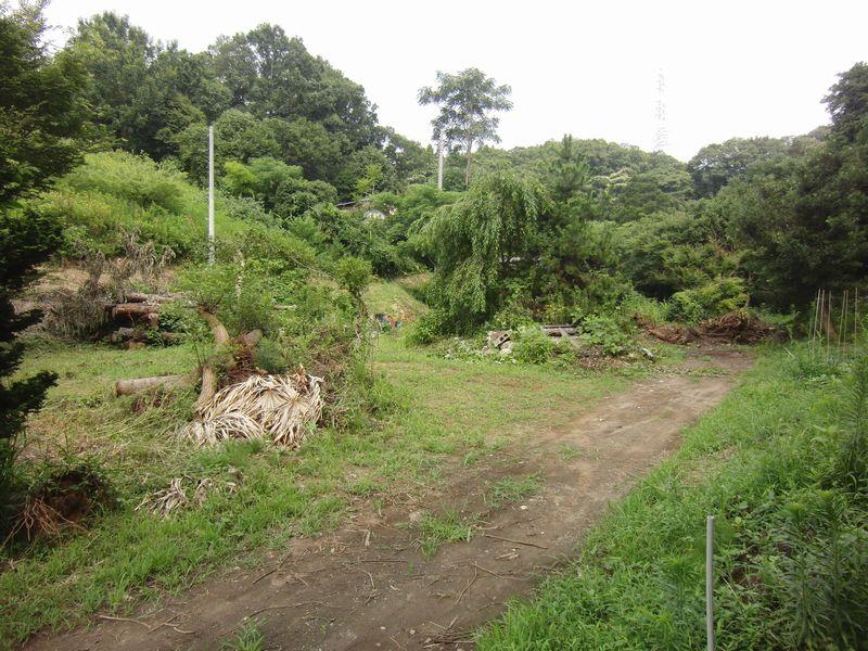 Local land photo. Local photo 3