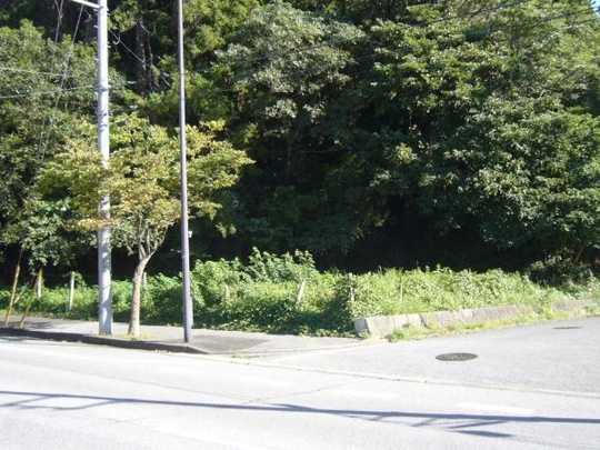 Local land photo. Article