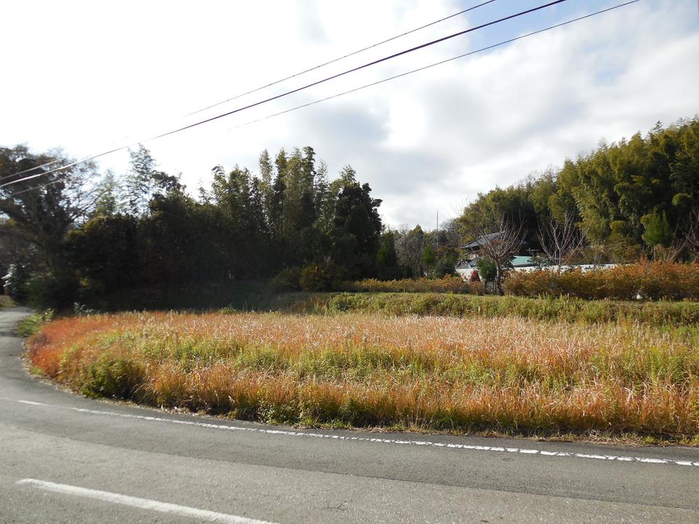 Local land photo. Local (12 May 2013) Shooting