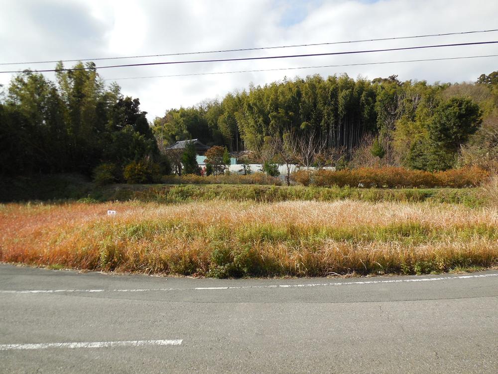 Local photos, including front road. Local (12 May 2013) Shooting