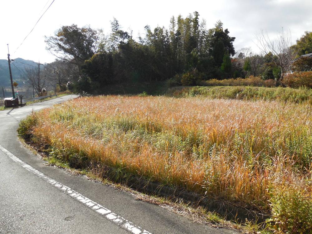 Local land photo. Local (12 May 2013) Shooting