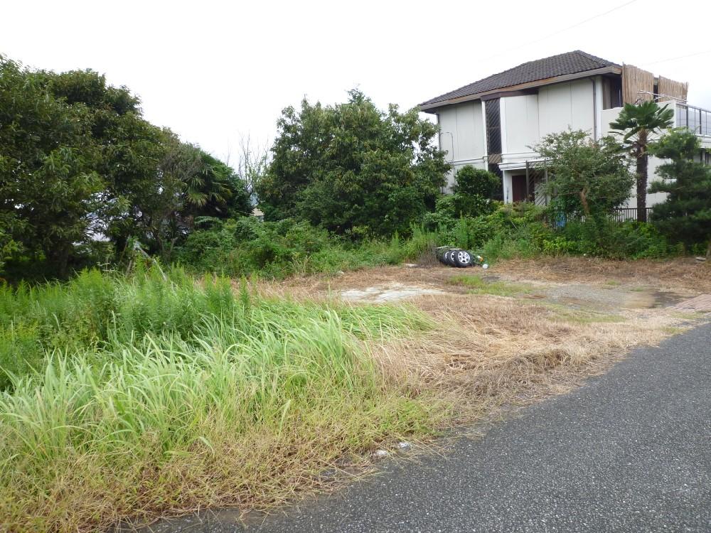 Local land photo. Local Photo 1