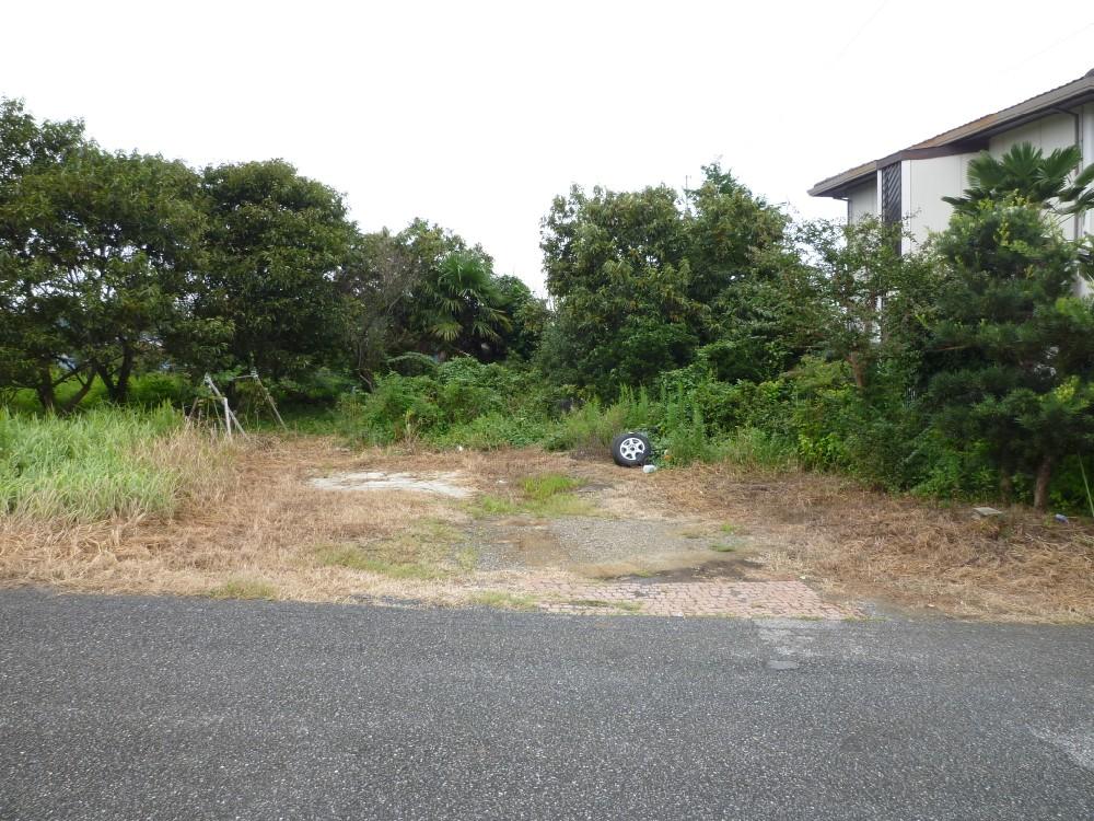 Local land photo. Local Photo 2