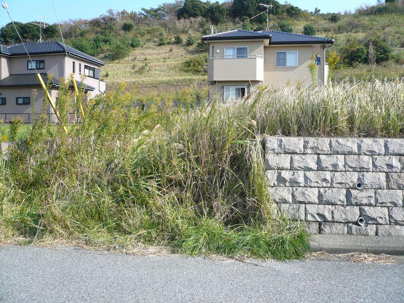 Local land photo. Local photo 8