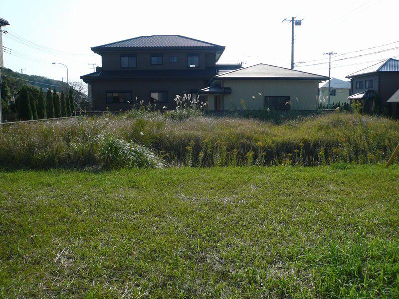 Local land photo. Local photo 7