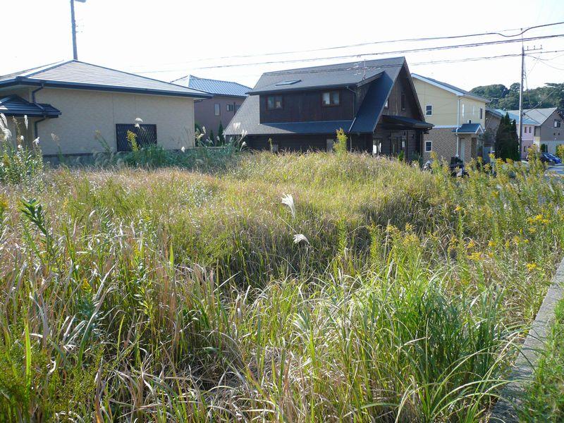 Local land photo. Local Photo 6