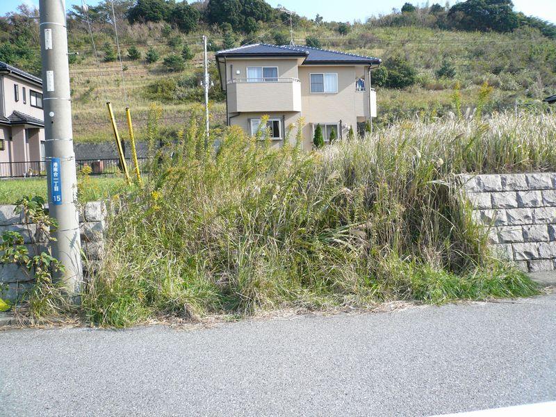 Local land photo. Local photo 3