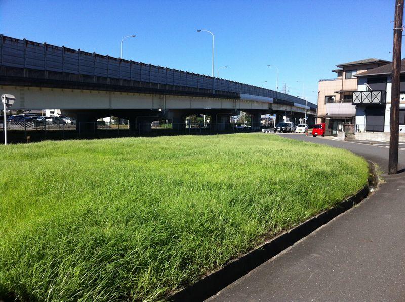 Local land photo. Local Photo 1 day