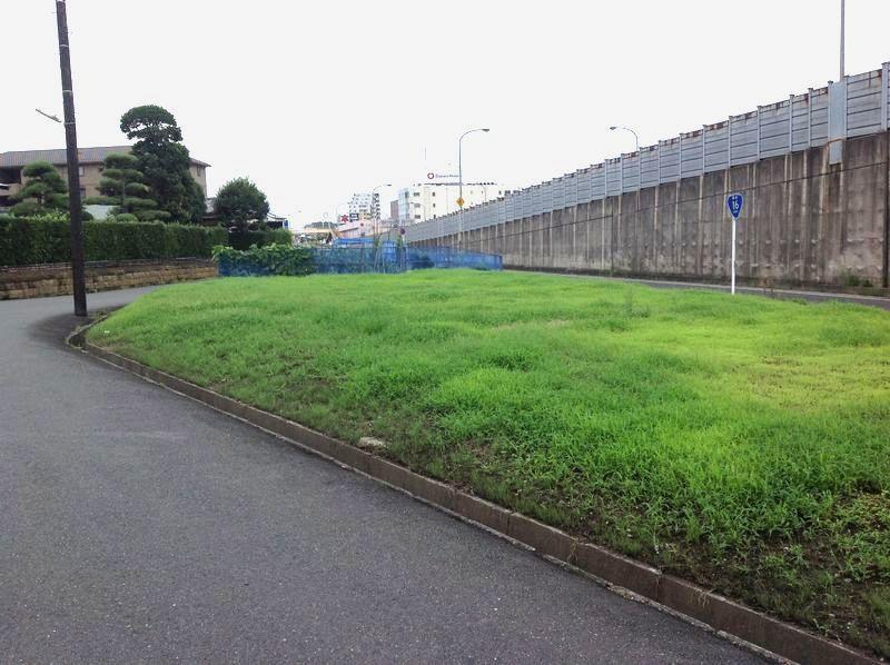 Local land photo. Local Photo 5