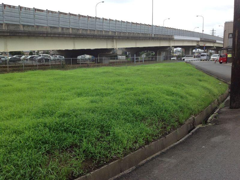 Local land photo. Local Photo 6