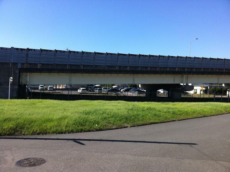 Local land photo. Local photo 3 Noon