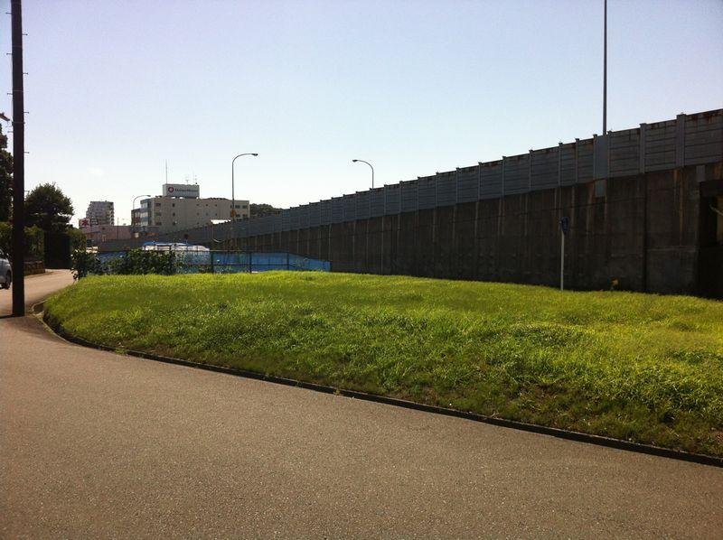 Local land photo. Local photos 4