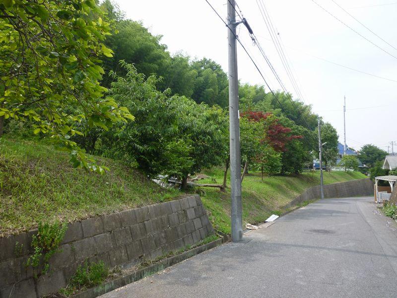 Local photos, including front road. Local Photo 2