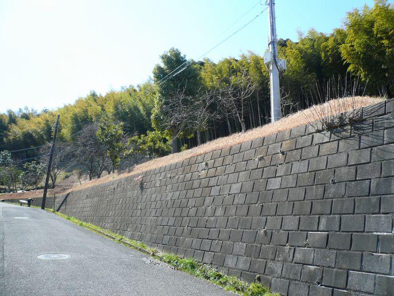 Local photos, including front road. Local photo 3