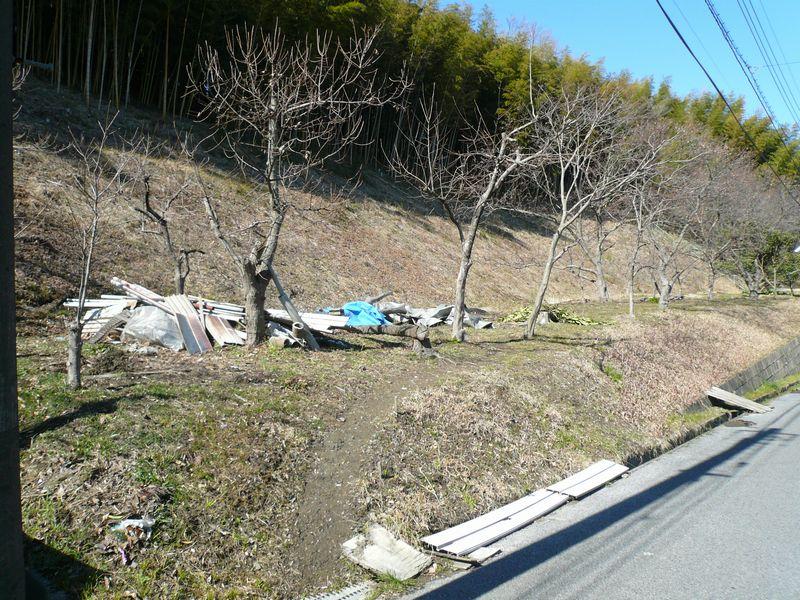 Local land photo. Local photos 4