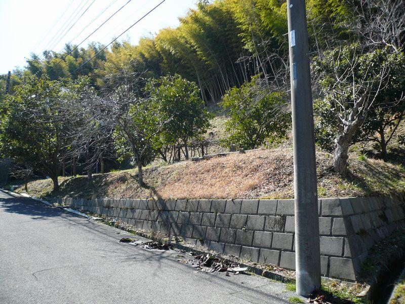 Local land photo. Local Photo 5