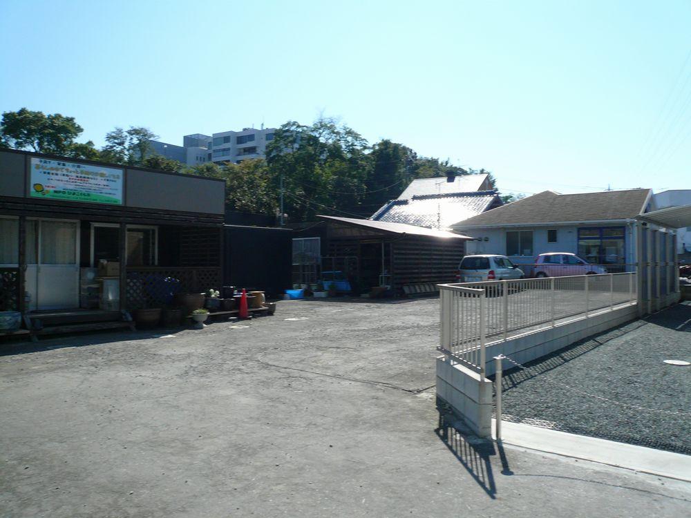 Local land photo. Local Photo 2