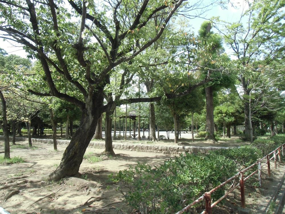 park. Shin-Matsudo to Central Park 243m