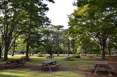 park. 45m 2012. September shooting until the Tokyo Metropolitan Yabashira Cemetery