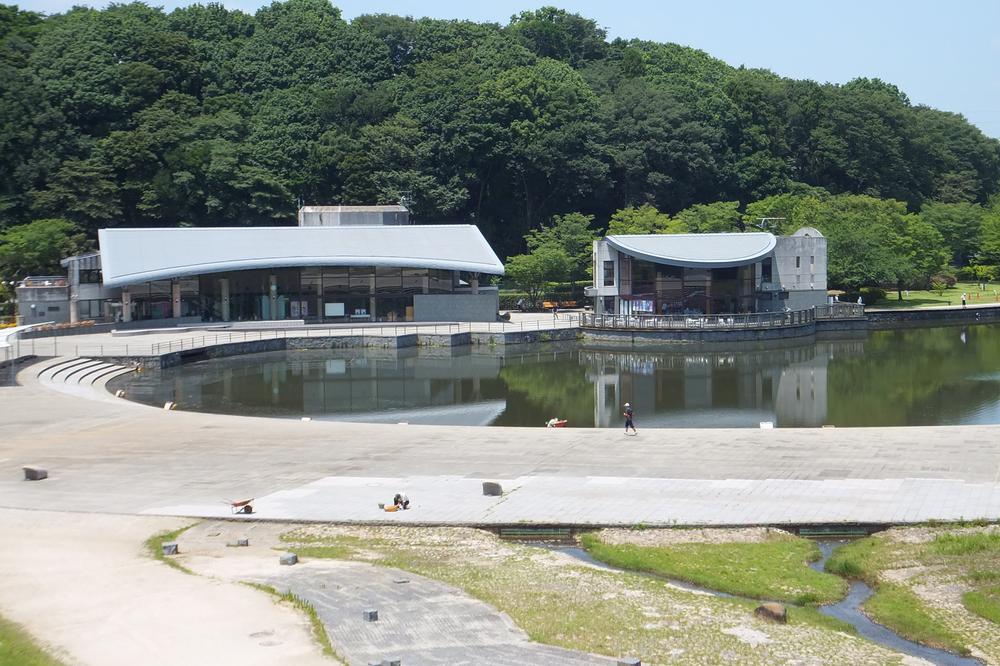 park. 21 century of forest and open space