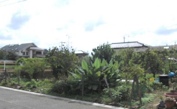 Local land photo. Since it is south terraced, Day is good!