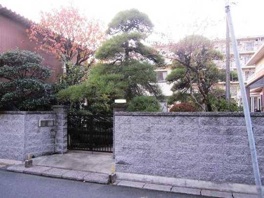 Local land photo. appearance