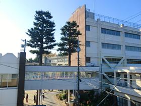 Primary school. Elementary school, which is 597m school to put away elementary school is here.