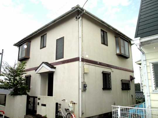 Local land photo. appearance