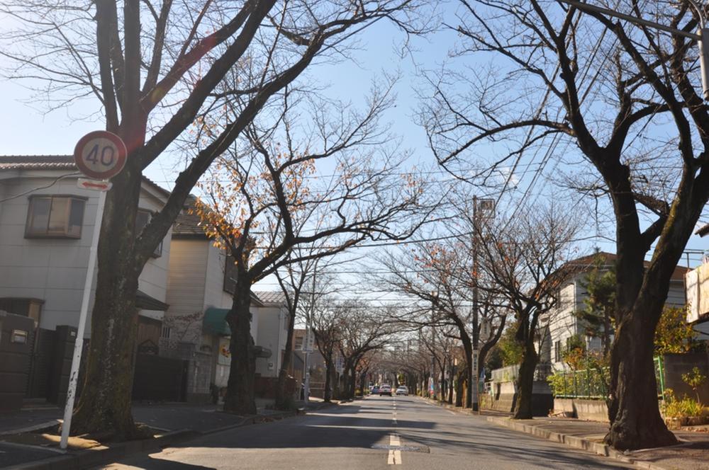 Local photos, including front road. Local (12 May 2013) Shooting