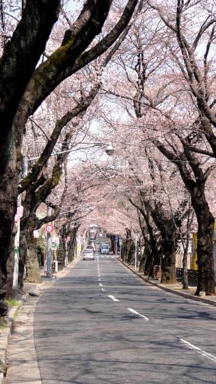 Other local. Local (2013 4) Shooting