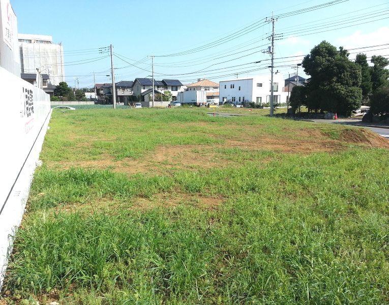 Local land photo.  [Local Photos] Also through fresh wind. 