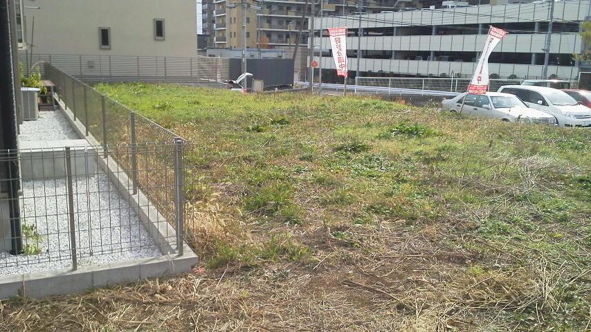 Local land photo. Local (11 May 2013) Shooting