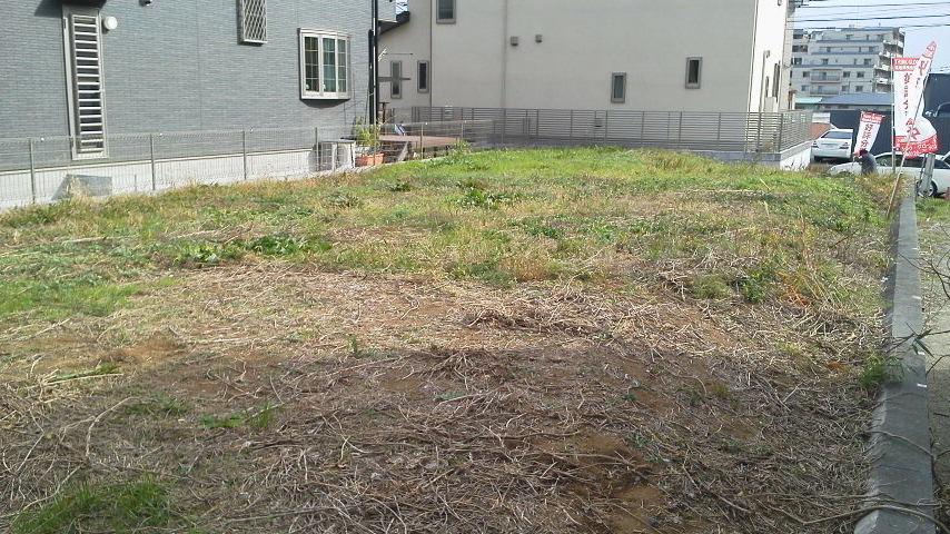 Local land photo. Local (11 May 2013) Shooting