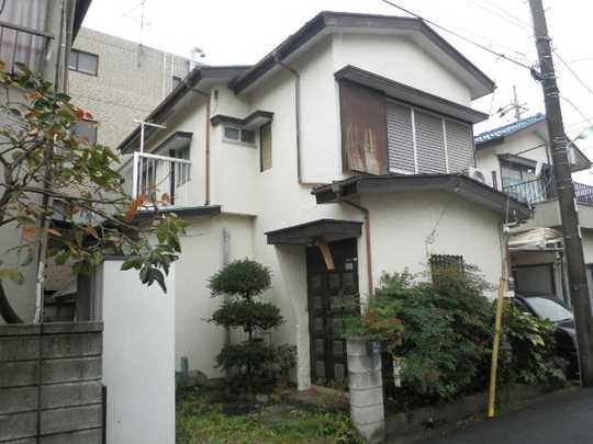 Local land photo. Appearance 1 