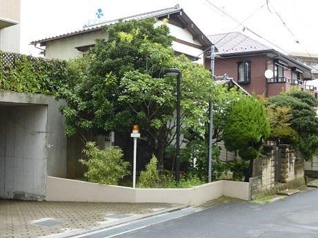 Local photos, including front road