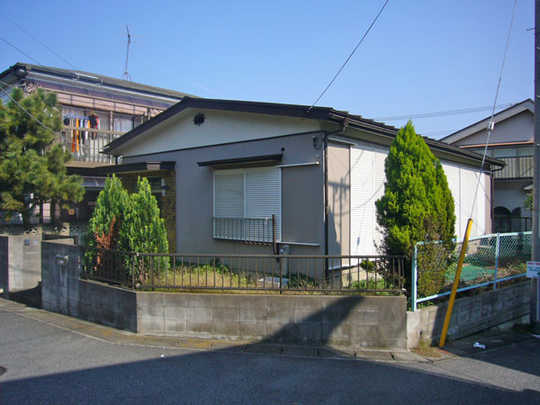 Local land photo. Appearance (1)