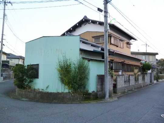 Local land photo. Appearance 1