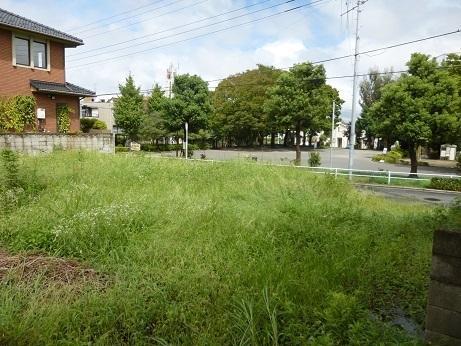 Local photos, including front road