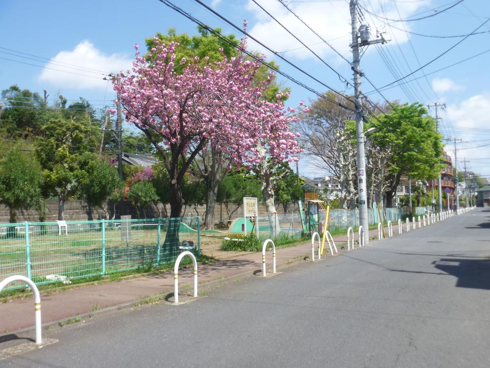 Other local. Park in Yokohama