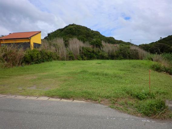 Local land photo. local