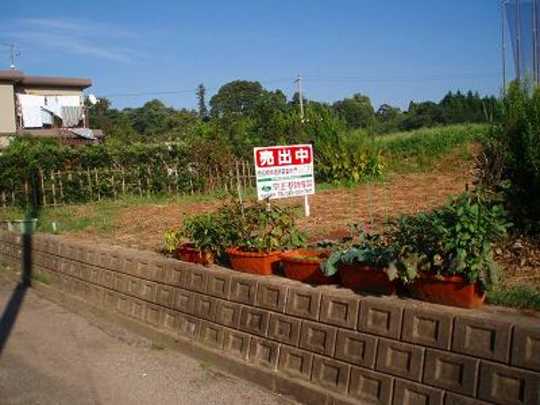 Local land photo. appearance