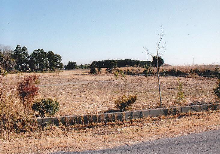 Local land photo. Local from the northwest side