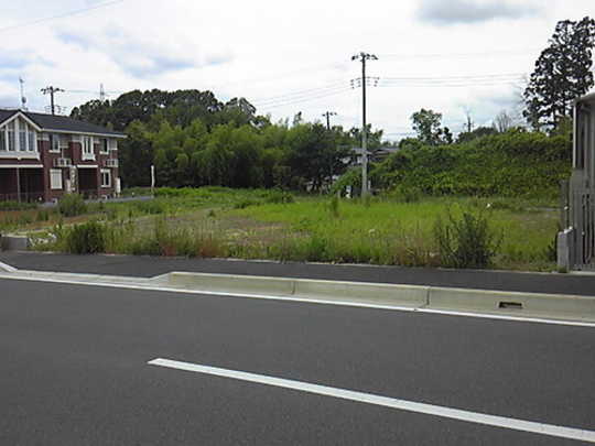 Local land photo. appearance