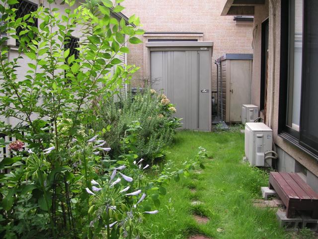 Garden. Local (July 2013) Shooting