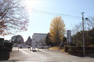 Other. Nagareyama Sports Park