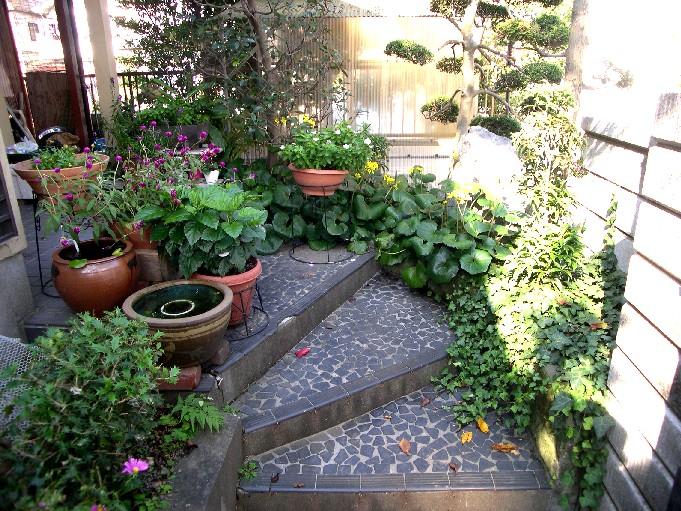 Other local. Entrance approach