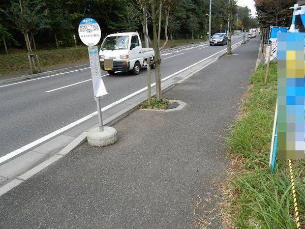 Local photos, including front road